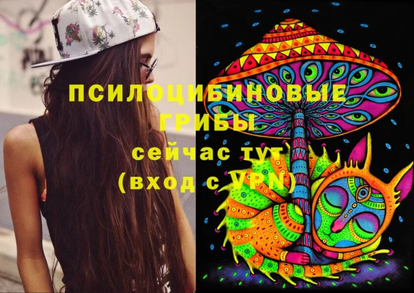 apvp Дмитров