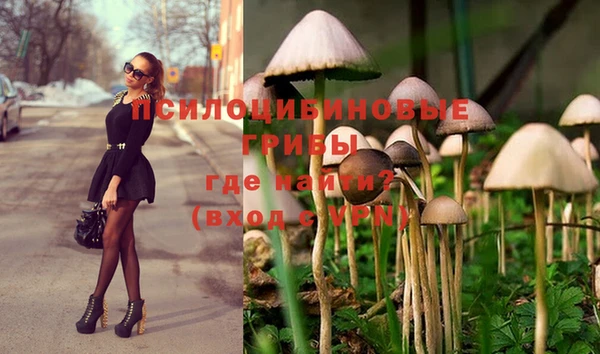 кристаллы Дмитровск